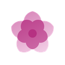 Foggy Rose Theme